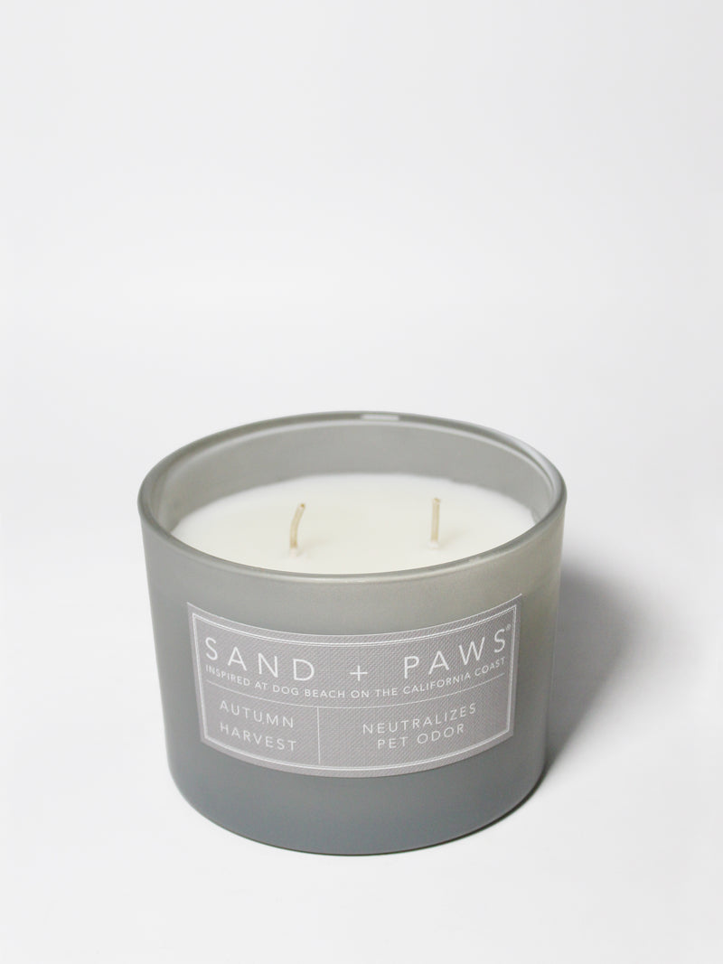 Sand + Paws Autumn Harvest 12 oz scented candle
