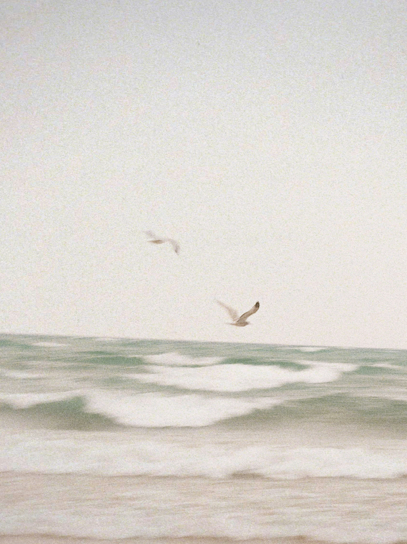 Clean Waves 12 oz scented candle